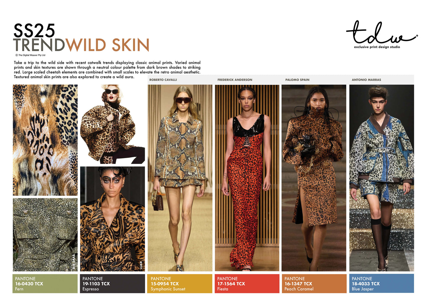 SS25 Wild Skin A3 Trend Board Digital File