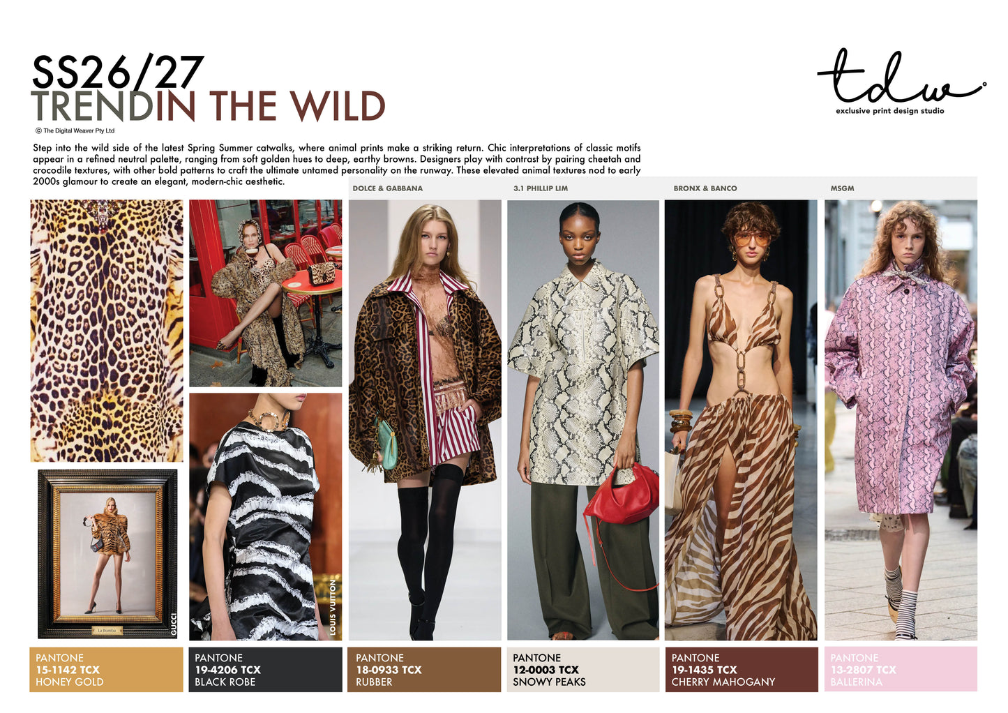 SS26/27 IN THE WILD A3 Trend Board Digital File