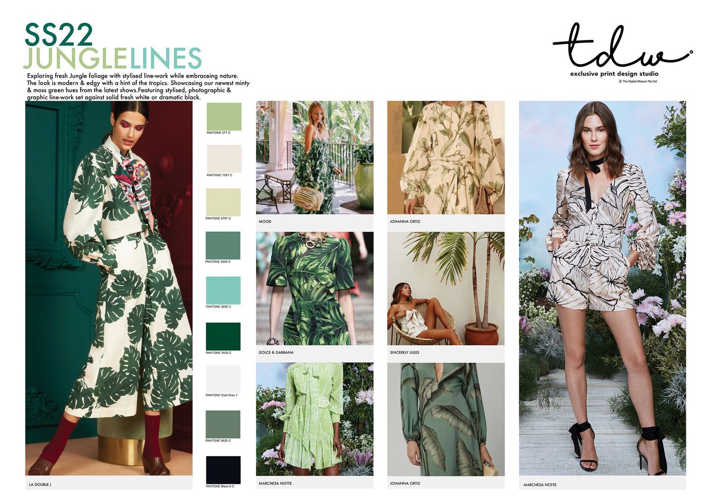 SS22 TREND Jungle Lines A3 Digital File