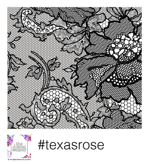 Sneak peek at Texas Rose collection