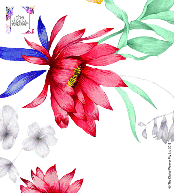 Wild Meadow Sneak Peek!