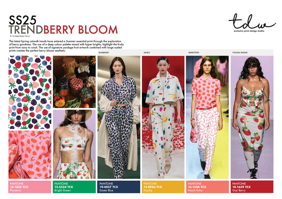 SS25 Berry Bloom A3 Trend Board Digital File