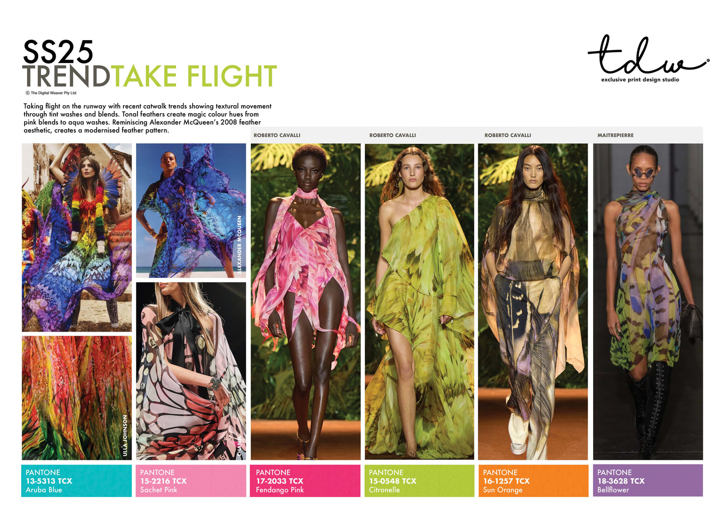 SS25 Take Flight A3 Trend Board Digital File