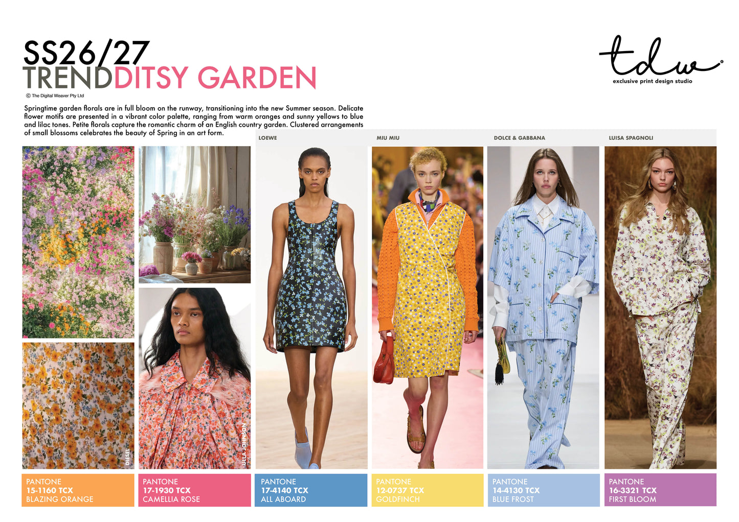 SS26/27 DITSY GARDEN A3 Trend Board Digital File