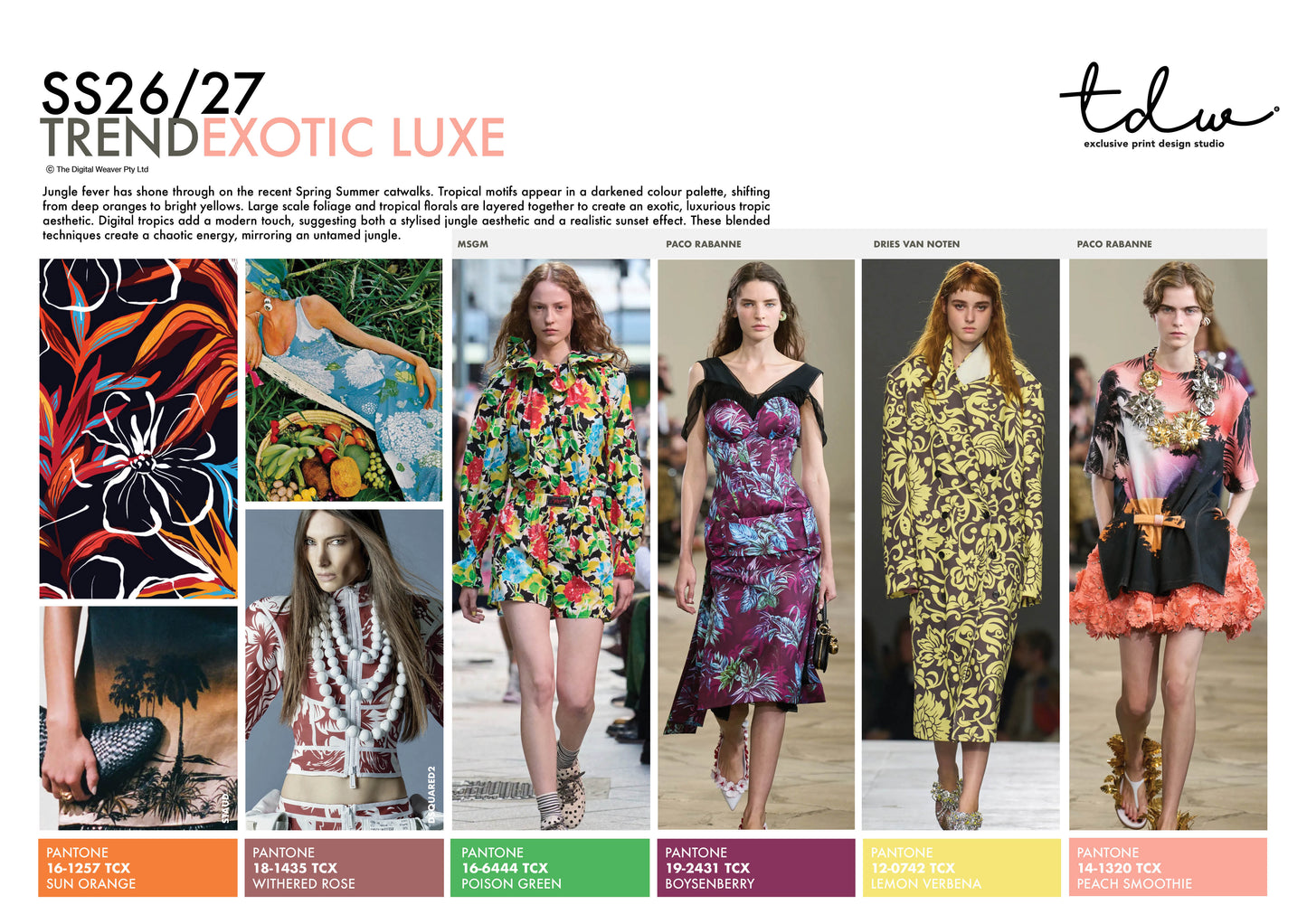 SS26/27 EXOTIC LUXE A3 Trend Board Digital File