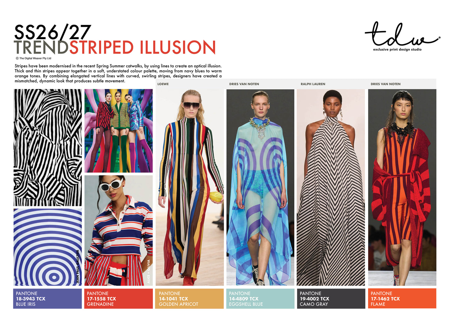 SS26/27 STRIPED ILLUSION A3 Trend Board Digital File