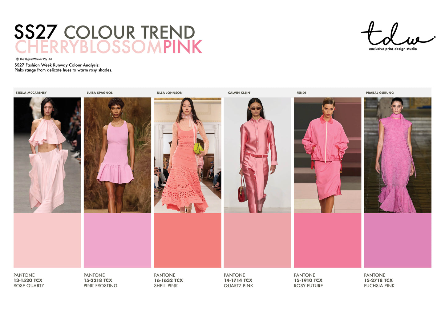 SS27 COLOUR TREND Cherry Blossom Pink A3 Trend Board Digital File