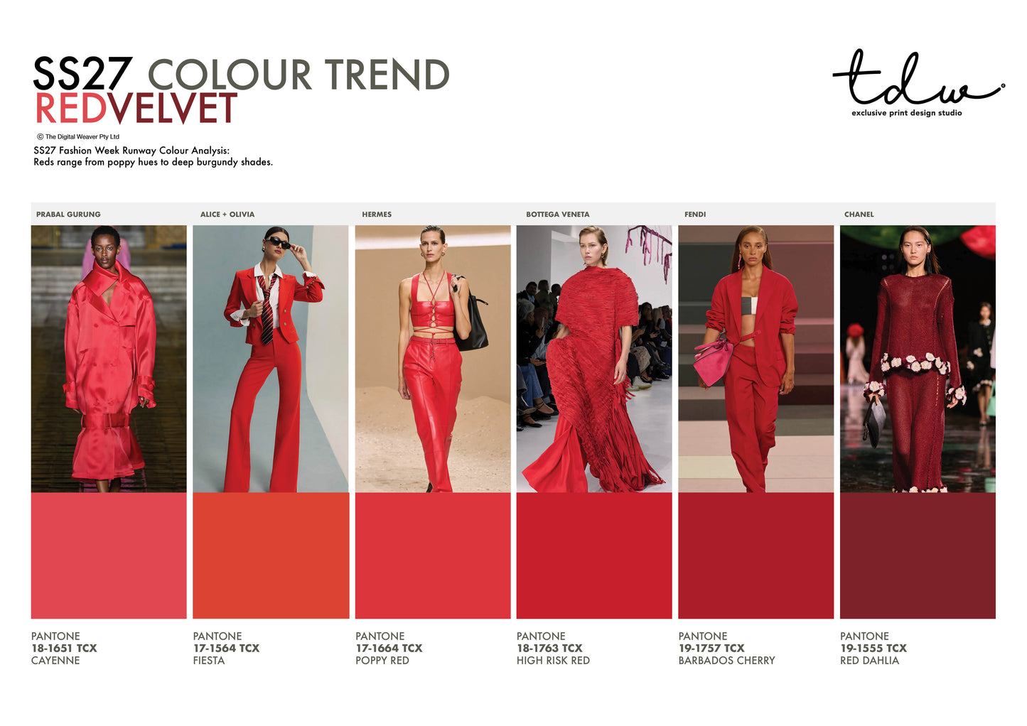SS27 COLOUR TREND Red Velvet A3 Trend Board Digital File