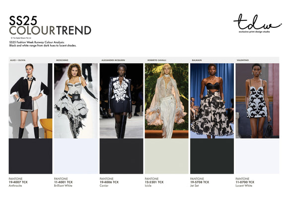 SS25 COLOUR TREND Black and White A3 Trend Board Digital File