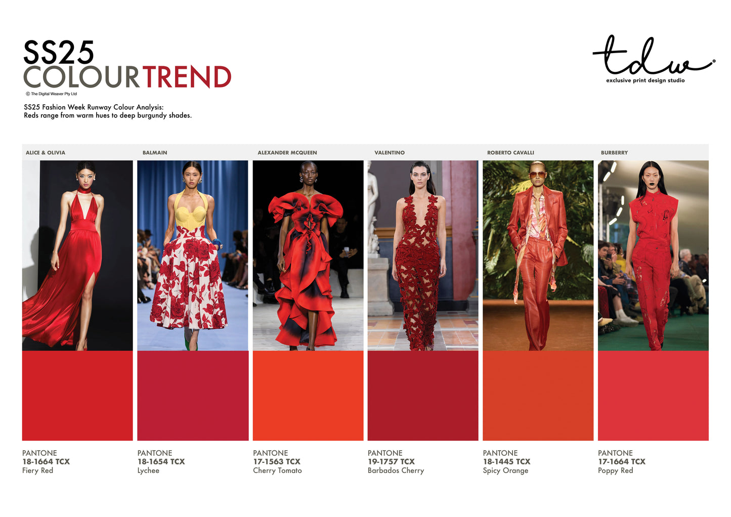 SS25 COLOUR TREND Red A3 Trend Board Digital File