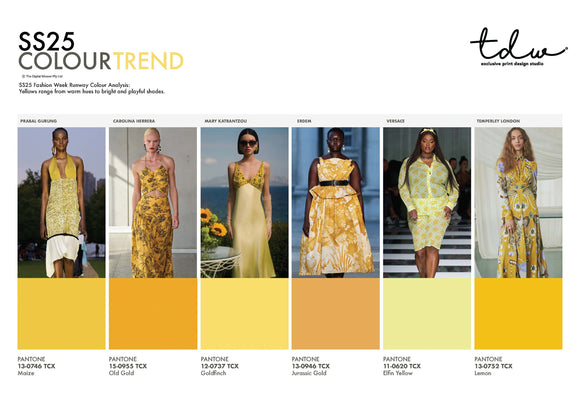 SS25 COLOUR TREND Yellow A3 Trend Board Digital File