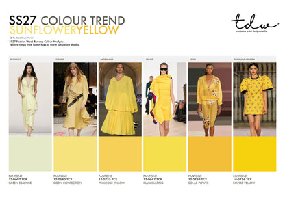 SS27 COLOUR ANALYSIS - DEEP DIVE - 12 PACK