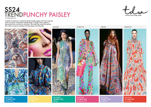 SS24 Punchy Paisley A3 Trend Board Digital File