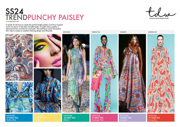 SS24 Punchy Paisley A3 Trend Board Digital File
