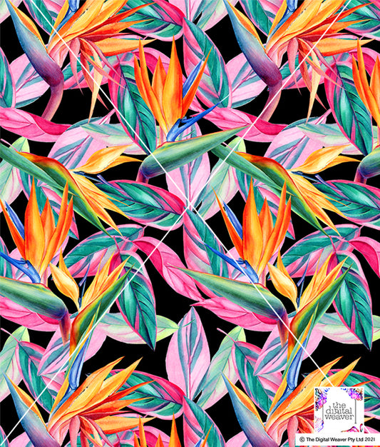 TDW3357_MA114 Exotic Island Tropical floral  Exclusive Print Design