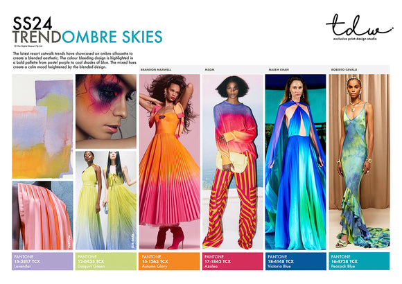 SS24 Ombre Skies A3 Trend Board Digital File