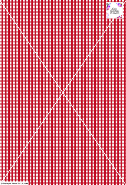 Gingham Check  - 5mm - Ruby & White