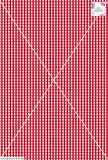 Gingham Check  - 5mm - Ruby & White